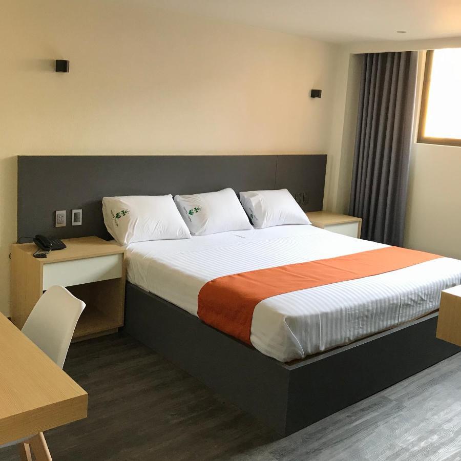 Hotel Conde Alameda Cdmx メキシコシティ エクステリア 写真